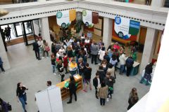 2017_feria_familias_IMG_7713